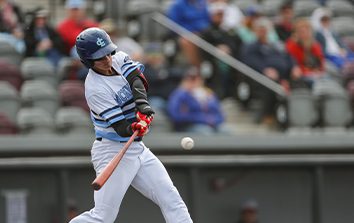 DockHounds hitter